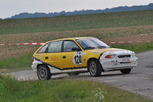 Salamandre rally